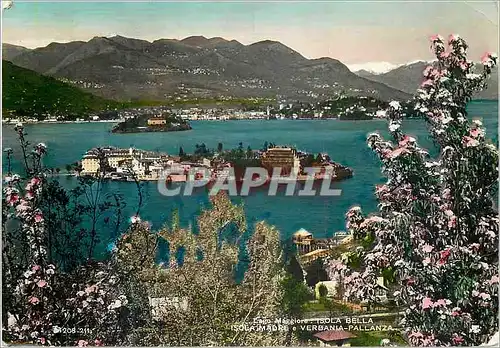 Moderne Karte Lac majeur isola bella verdania pallanza