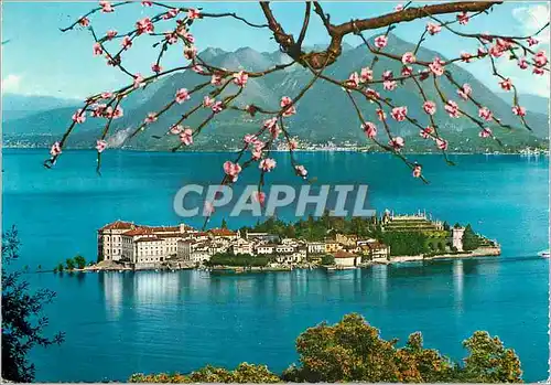 Cartes postales moderne Lac majeur isola bella