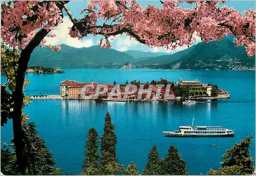 Cartes postales moderne Isola bella lago maggiore