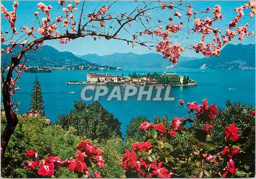 Cartes postales moderne Lac majeur isola bella