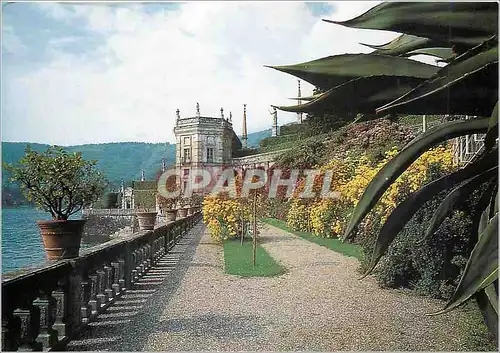 Cartes postales moderne Isola bella (lago maggiore) il giardino della dimora barrameo