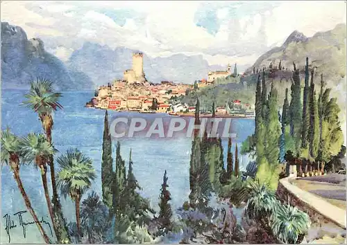 Cartes postales moderne Malcesine (lago di garda) panorama