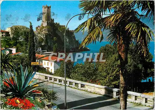 Cartes postales moderne Malcesine (lac de garda) le chateau