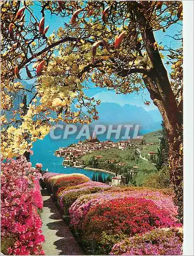 Cartes postales moderne Malcesine lac de garda printemps