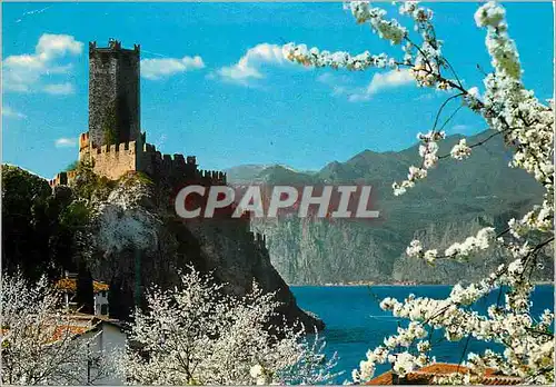 Moderne Karte Malcesine le chateau scaligero printemps