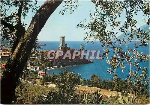 Cartes postales moderne Malcesine lac de garda le chateau vue pittoresque