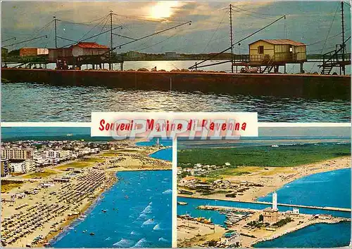 Cartes postales moderne Saluti de marina di ravenna