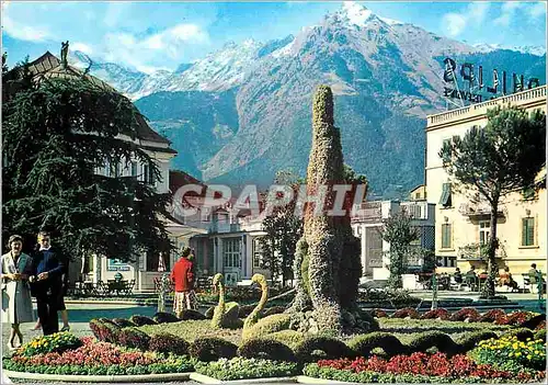 Cartes postales moderne Merano promenade Cygnes