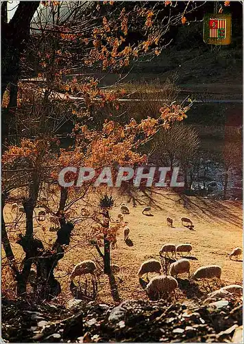 Cartes postales moderne Andorra Valls d'Andorra Paysage