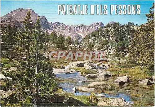 Cartes postales moderne Andorra Valls d'Andorra