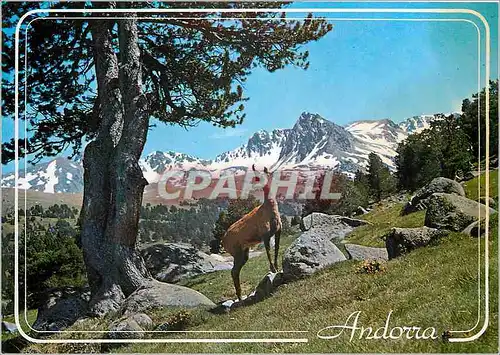 Cartes postales moderne Andorra Valls d'Andorra Vall d'Envalira