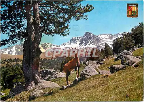 Cartes postales moderne Andorra Valls d'Andorra Vall d'Envalira