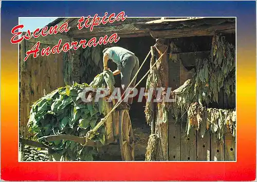 Cartes postales moderne Andorra Valls d'Andorra Scene typique Andorranne