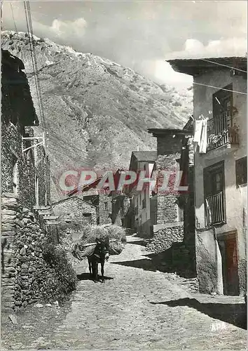 Moderne Karte Andorra Valls d'Andorra Vieille rue pittoresque de Canillo Ane Donkey