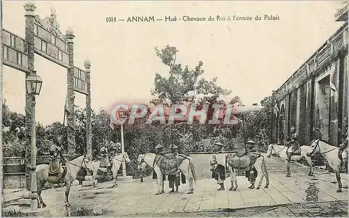 Cartes postales Annam Hue Cheveaux du Roi a l'entree du Palais