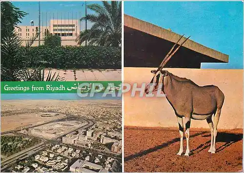 Cartes postales moderne Riyadh Greeting from Riyadh