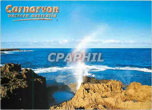 Cartes postales moderne Australia Carnarvon Western Australia