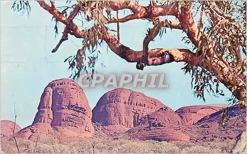 Cartes postales moderne Australia The Olgas