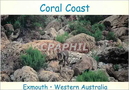 Moderne Karte Australia Exmouth Coral Coast