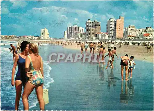 Cartes postales moderne Miramar