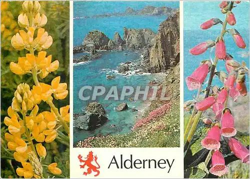 Cartes postales moderne Alderney South West Coast
