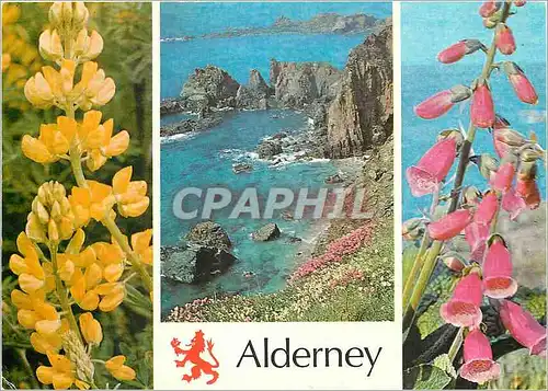 Cartes postales moderne Alderney