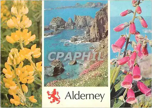 Cartes postales moderne Alderney South West Coast