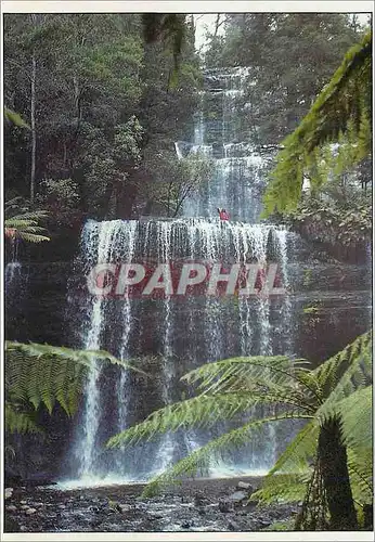 Cartes postales moderne Australia Tasmania