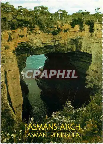 Cartes postales moderne Australia Tasmania