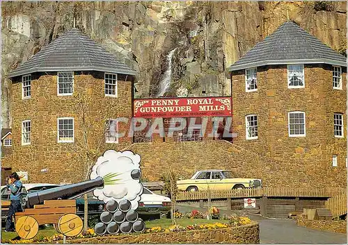 Cartes postales moderne Australia Tasmania