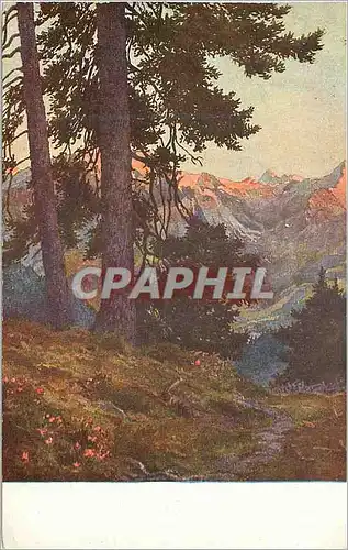 Cartes postales Weg zur Schmittenhohe Grossglockner