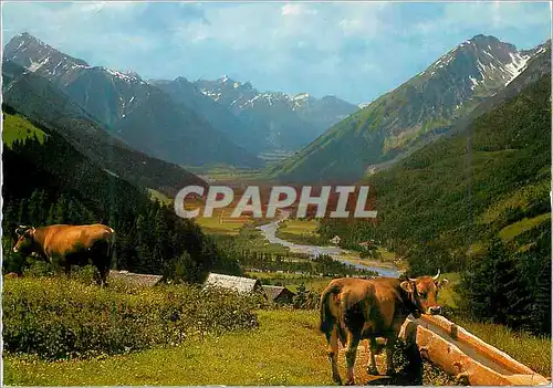 Cartes postales moderne Bergidyll im lechtal