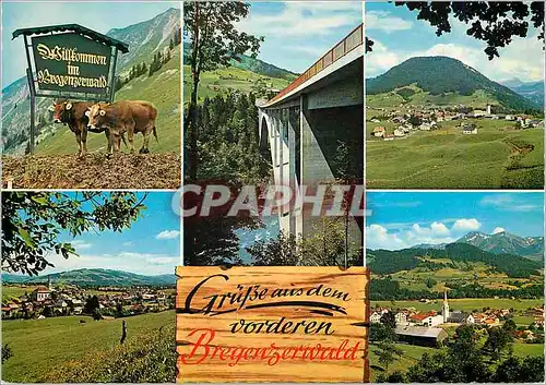 Cartes postales moderne Grube aus dem vorderen bregenzerwald