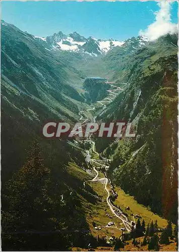 Cartes postales moderne Silvrella hochalpenslrabe zur bieler hohe 2021 m montafon vorarlberg