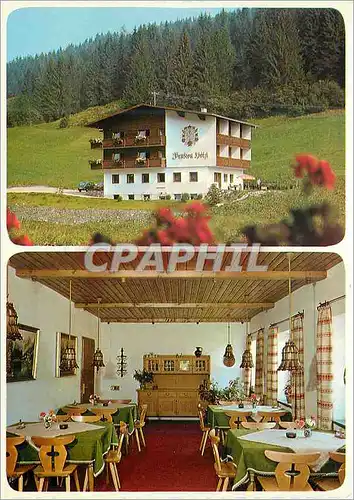 Cartes postales moderne Pensio holzl tirol