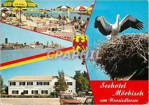 Cartes postales moderne Seehotel morbisch pachter herbert schwarz