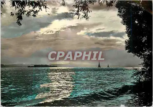 Cartes postales moderne Autriche abendstimmung em bodensee