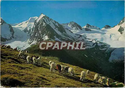 Cartes postales moderne Tirol Tiroler bergschaie blick von der hohen mit 2670 m auf den gaisberg und rofmcosgletscher be