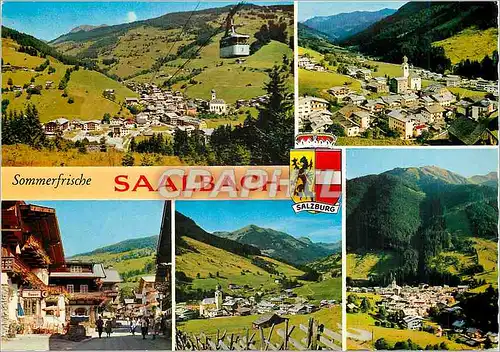 Cartes postales moderne Salzburg Saalbach sommerfrische