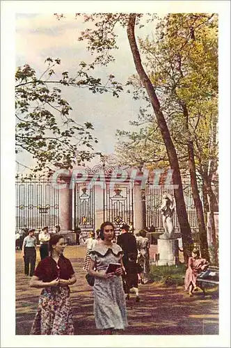 Cartes postales moderne Leningrad Le Jardin d'Ete