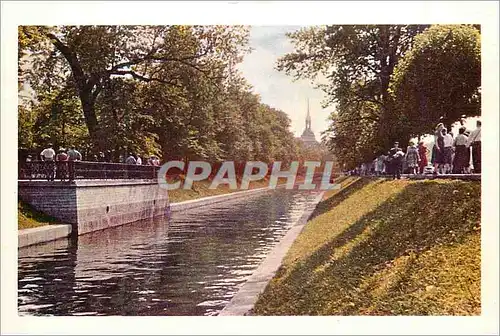Cartes postales moderne Leningrad Le Canal des Cygnes