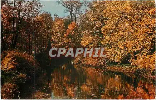 Cartes postales moderne Pushkin Town of Pushkin