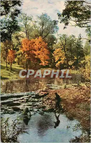 Cartes postales moderne Pavlovsk La Digue pres de l'Etang Noir
