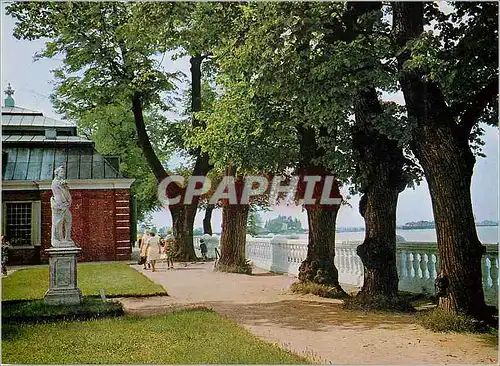 Cartes postales moderne Embankment at Petrodvorets Leningrad