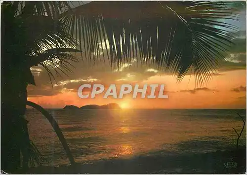 Cartes postales moderne Saint Barthelemy Coucher de soleil