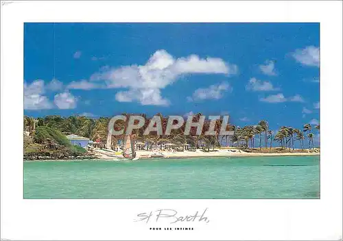 Cartes postales moderne Saint Barthelemy pour les intimes