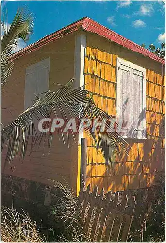 Cartes postales moderne Saint Barthelemy Vielle maison de St Barth