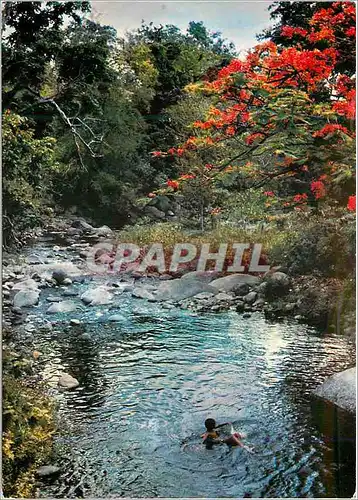 Cartes postales moderne Saint Barthelemy Baignade en riviere