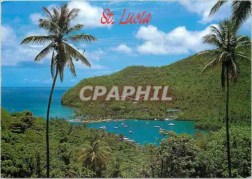 Cartes postales moderne Saint Lucia West Indies Marigot Bay