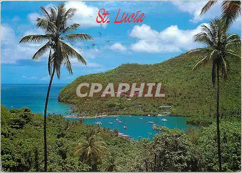 Cartes postales moderne Saint Lucia West Indies Marigot Bay